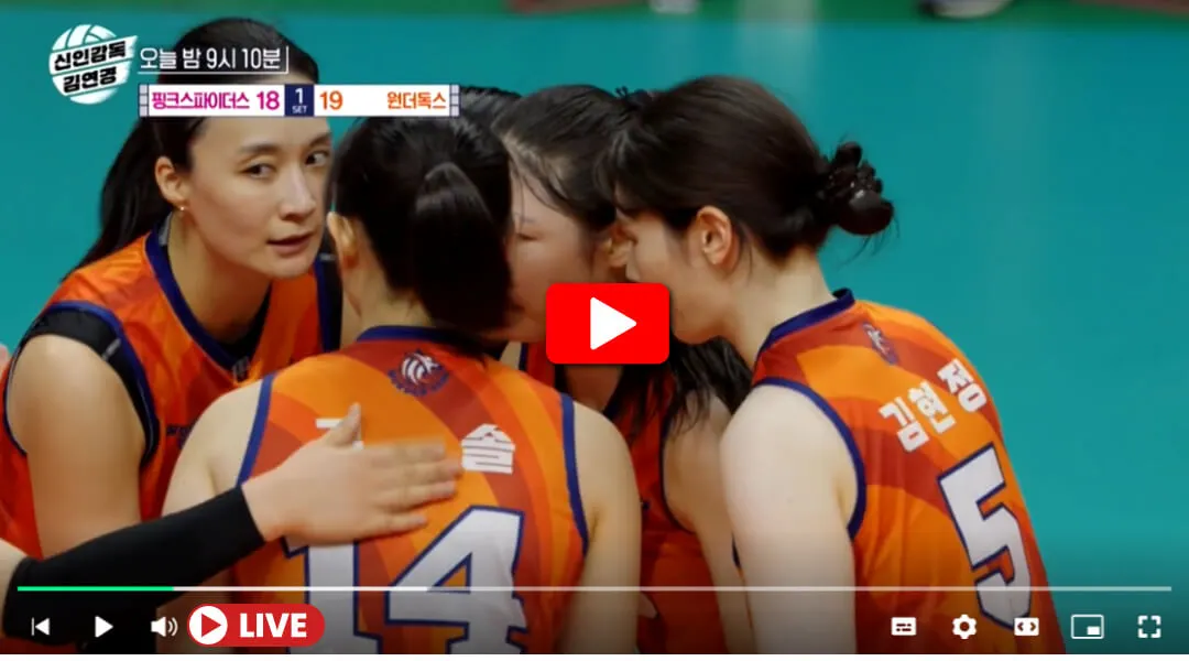 신인감독 김연경 마지막회 방송