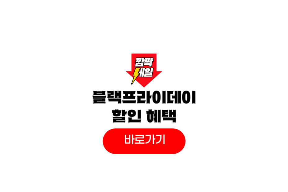 2025 블랙프라이데이 할인