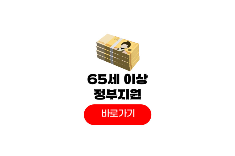 65세 이상 정부지원