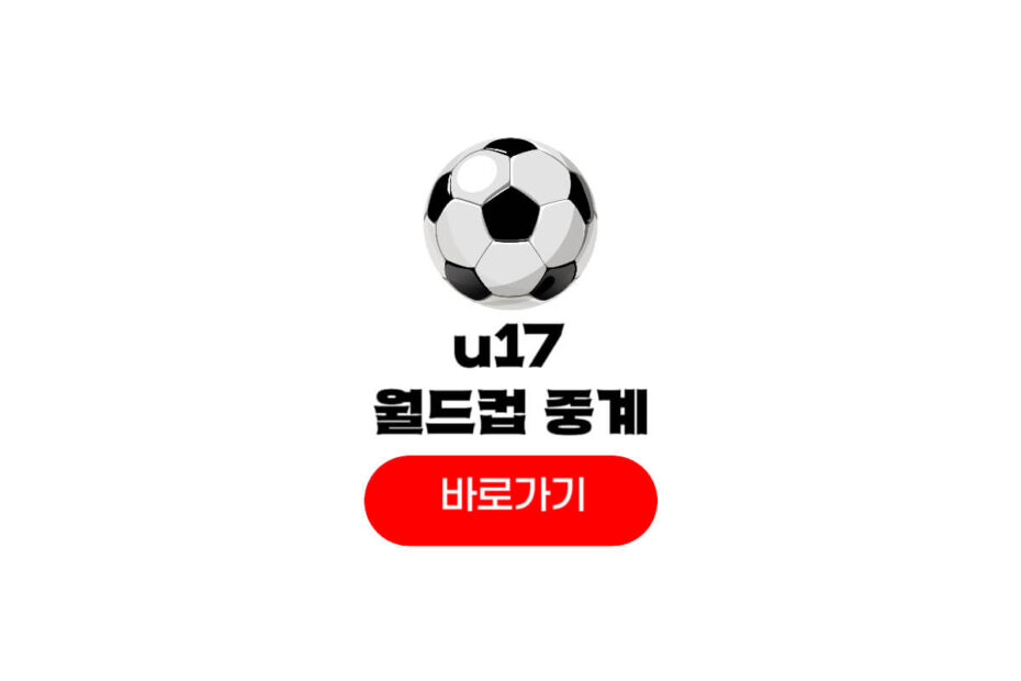 2025 u17 월드컵