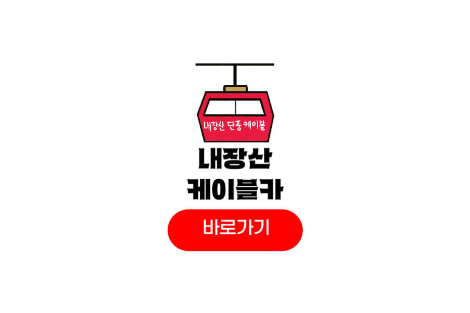 내장산 케이블카 예약
