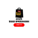 2025 항공권 블랙프라이데이 할인 가격 비교 2025 항공권 블랙프라이데이