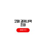 코페이 결제내역 조회 방법 고객센터 코페이 결제내역