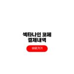 섹타나인 코페이 결제내역 확인방법 섹타나인 코페이