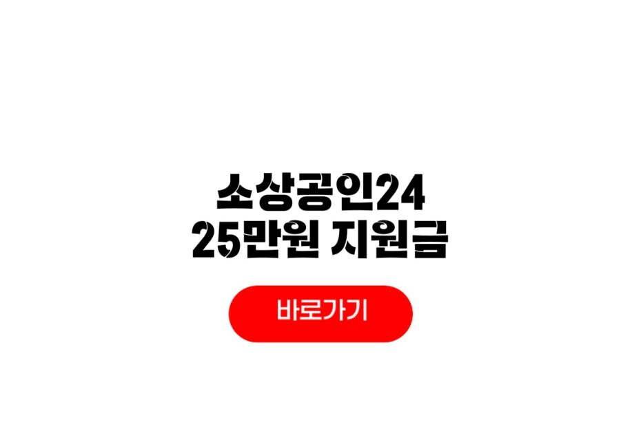소상공인24 25만원