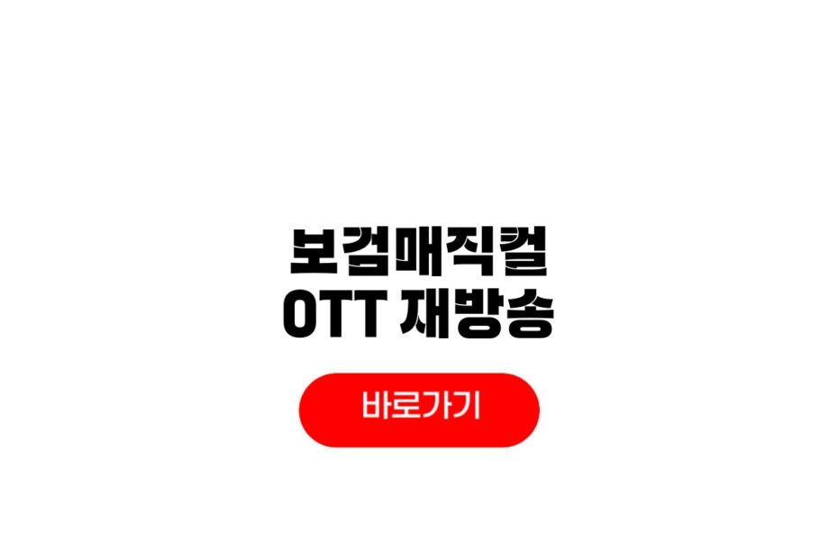 보검매직컬 OTT
