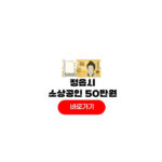 2026 정읍시 소상공인 안정지원금 신청 50만원 사용처 정읍시 소상공인 안정지원금