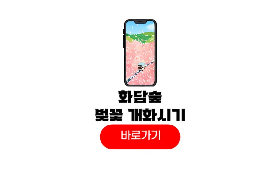 2026 화담숲 벚꽃