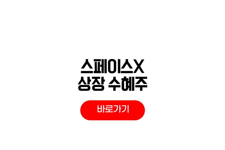 스페이스X 상장