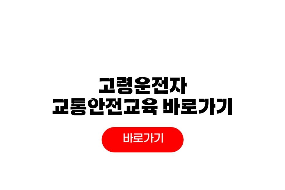 고령운전자 교통안전교육