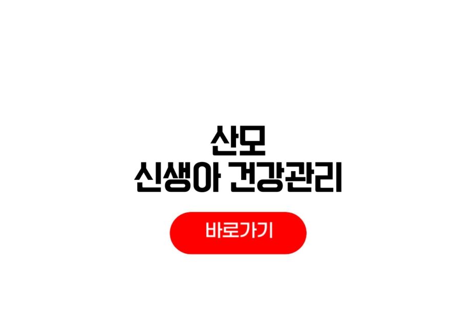 산모 신생아 건강관리 지원