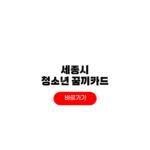 세종시 청소년 꿈끼카드 발급 신청 방법 사용처 세종시 청소년 꿈끼카드 발급