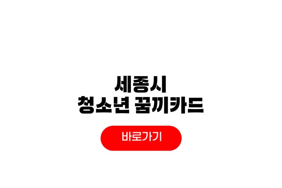 세종시 청소년 꿈끼카드 발급