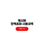 캐시비 잔액조회