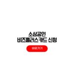 2026 소상공인 비즈플러스카드 조건 한도 분할납부 1천만원 캐시백 2026 소상공인 비즈플러스카드 조건