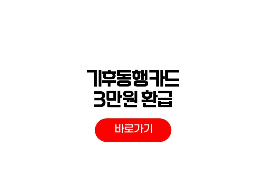 기후동행카드 3만원