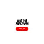 공공기관 차량 2부제 시행 요일 제외 차량 종류 분석 공공기관 차량 2부제