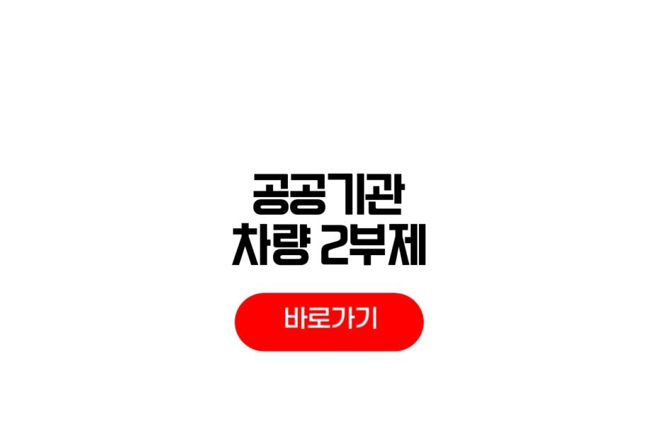 공공기관 차량 2부제