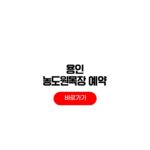 용인 농도원목장 예약 방법 가격 만들기 체험 후기 용인 농도원목장 예약