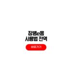 장병e음 사용법 전역 예비군 남은 복무일수 조회 방법 장병e음