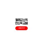 월평균소득 연소득 금융이자소득 조회 방법 2000만원 근로소득 월평균소득 연소득