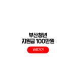 부산청년 지원금 100만원 지급 기쁨카드 신청자격 조건 부산청년 지원금