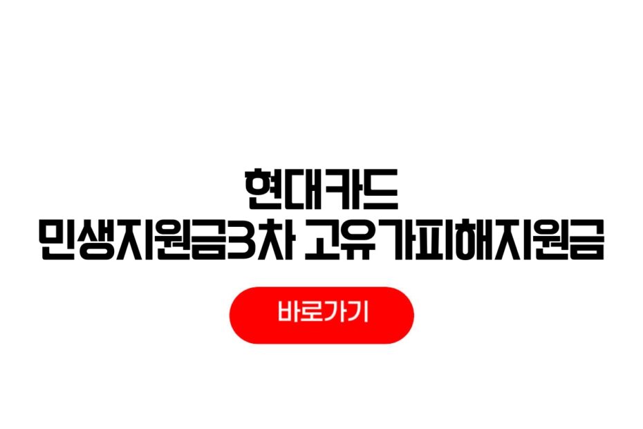 현대카드 민생지원금