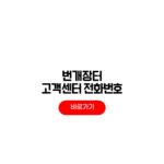 번개장터 고객센터 전화번호 주말 상담 시간 번개장터 고객센터