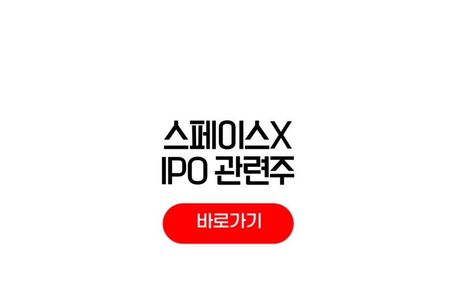 스페이스X IPO