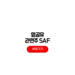 항공유 관련주 수혜주 SAF 정유사 주식 전망 항공유 관련주