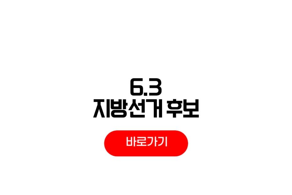 6.3 지방선거 후보자