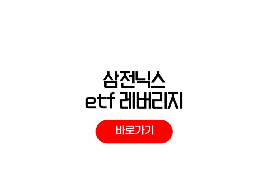 삼전닉스 ETF 레버리지
