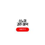 소노캄 경주 예약 애견동반 방법 풀앤스파 할인 방법 소노캄 경주