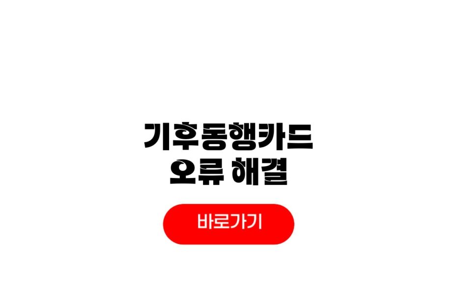 기후동행카드 오류