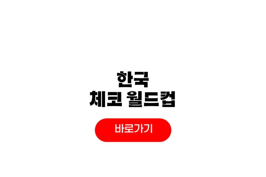 한국 체코 월드컵