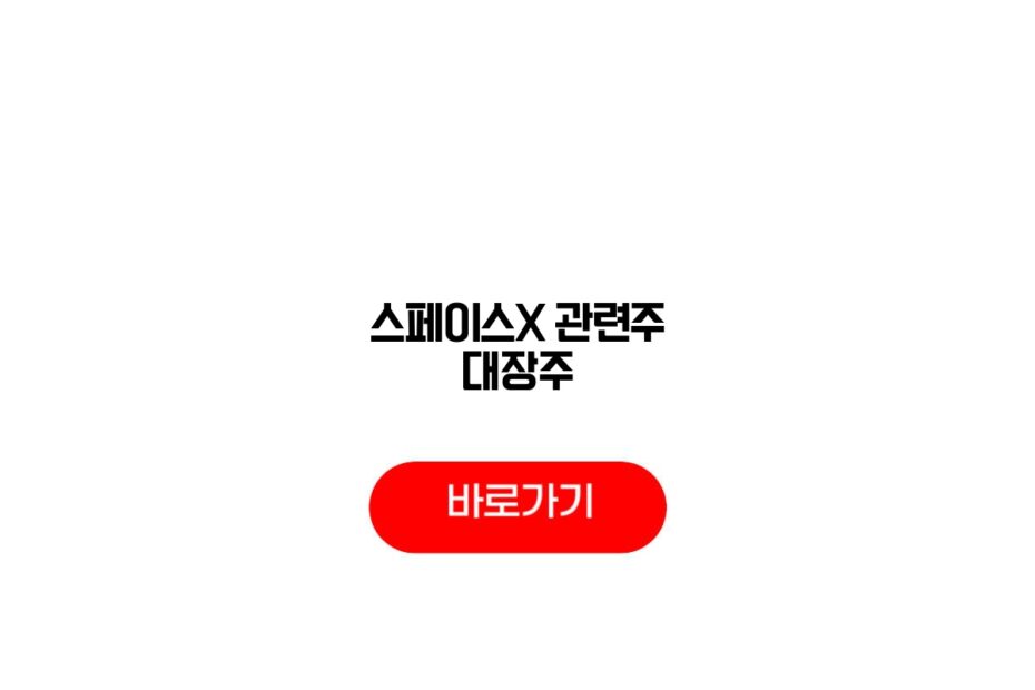 스페이스X 우주항공
