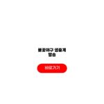 불꽃야구2 생중계 티비 방송 채널 불꽃야구2 생중계