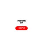 국민성장펀드 ETF 대장주 관련주 최신정보 국민성장펀드 ETF
