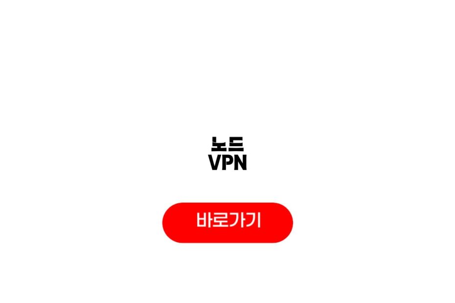 노드 VPN