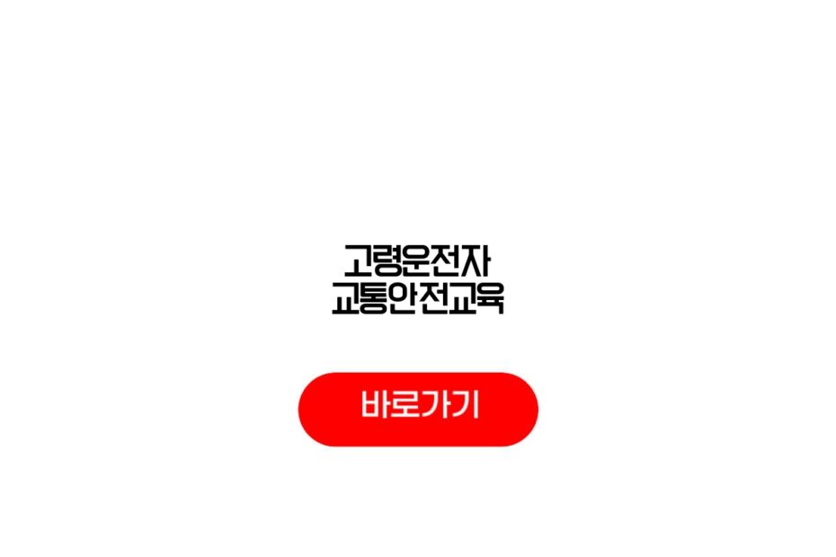 고령운전자 교통안전교육