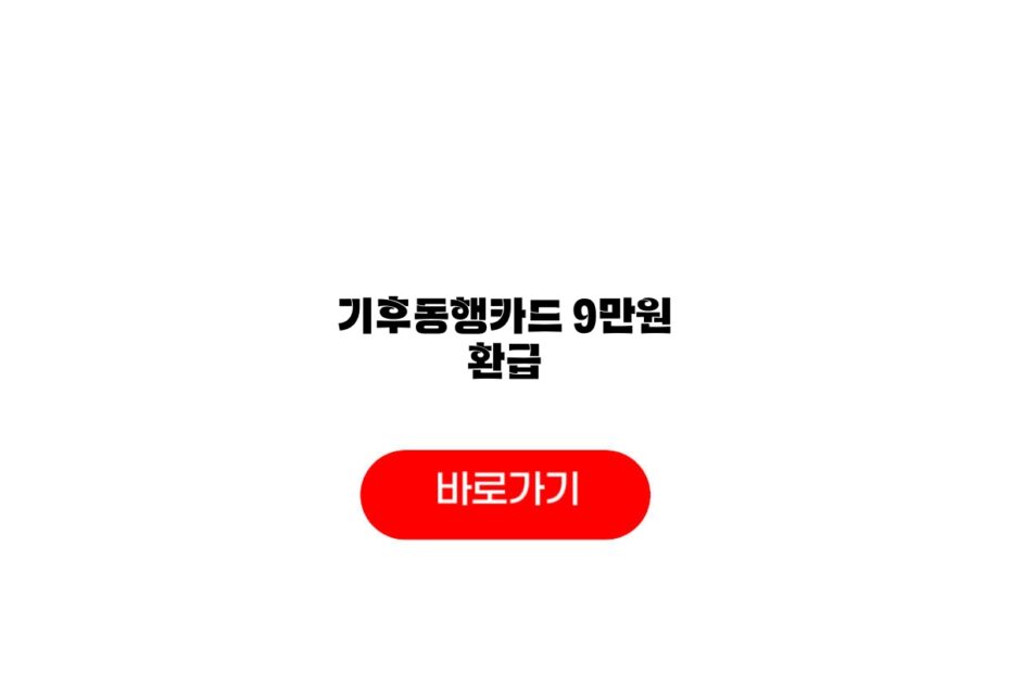 기후동행카드 9만원 환급