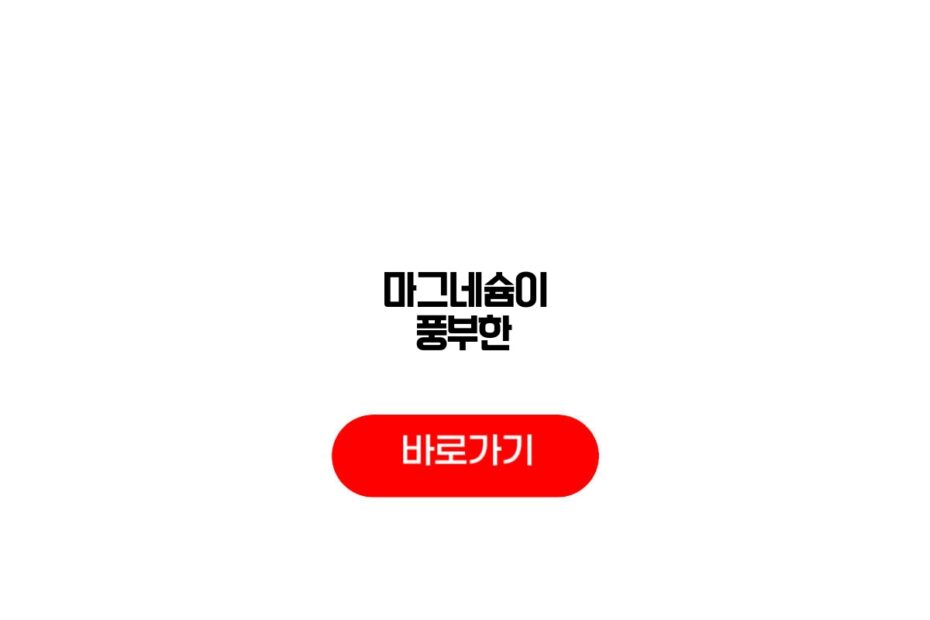 마그네슘이 풍부한