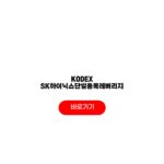 KODEX SK하이닉스단일종목레버리지 배당금과 etf 주의사항 KODEX SK하이닉스단일종목레버리지