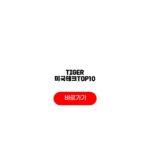 TIGER 미국테크TOP10 주가보다 먼저 봐야 할 기준 TIGER 미국테크TOP10