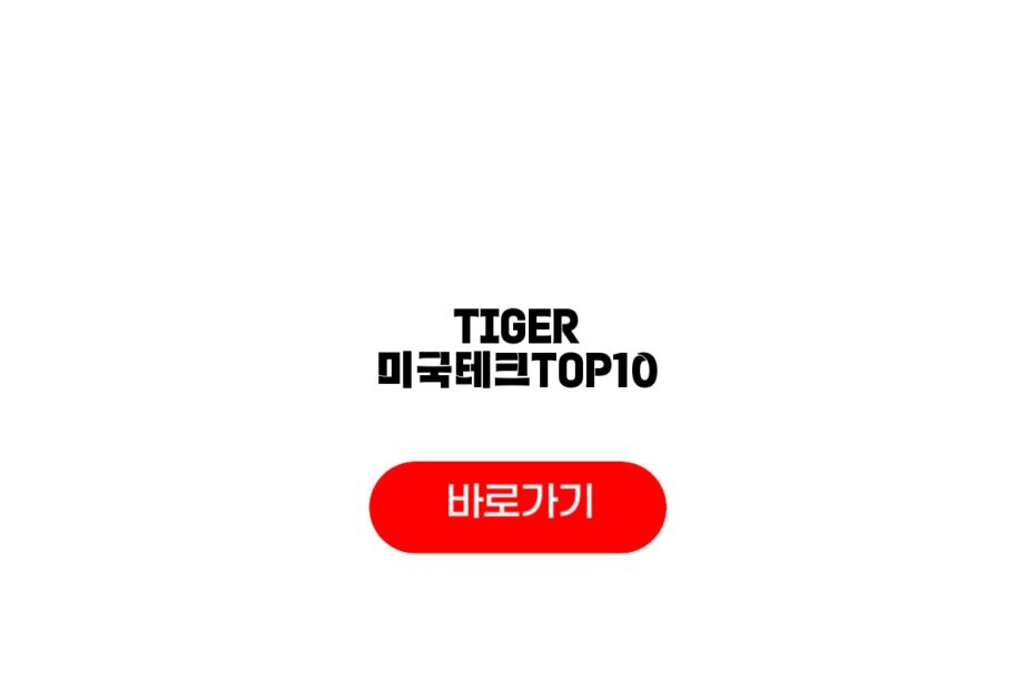 TIGER 미국테크TOP10