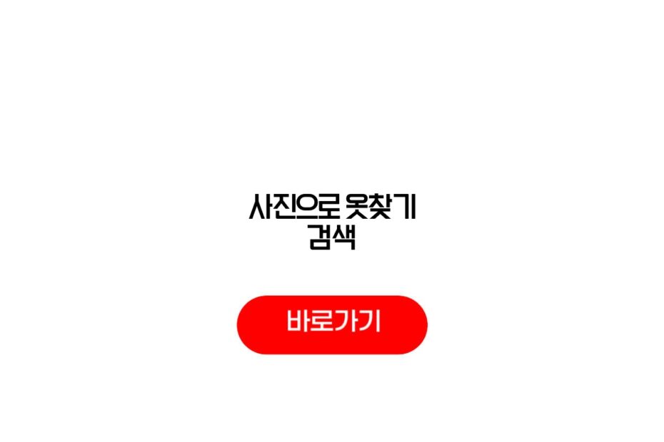 사진으로 옷찾기 검색