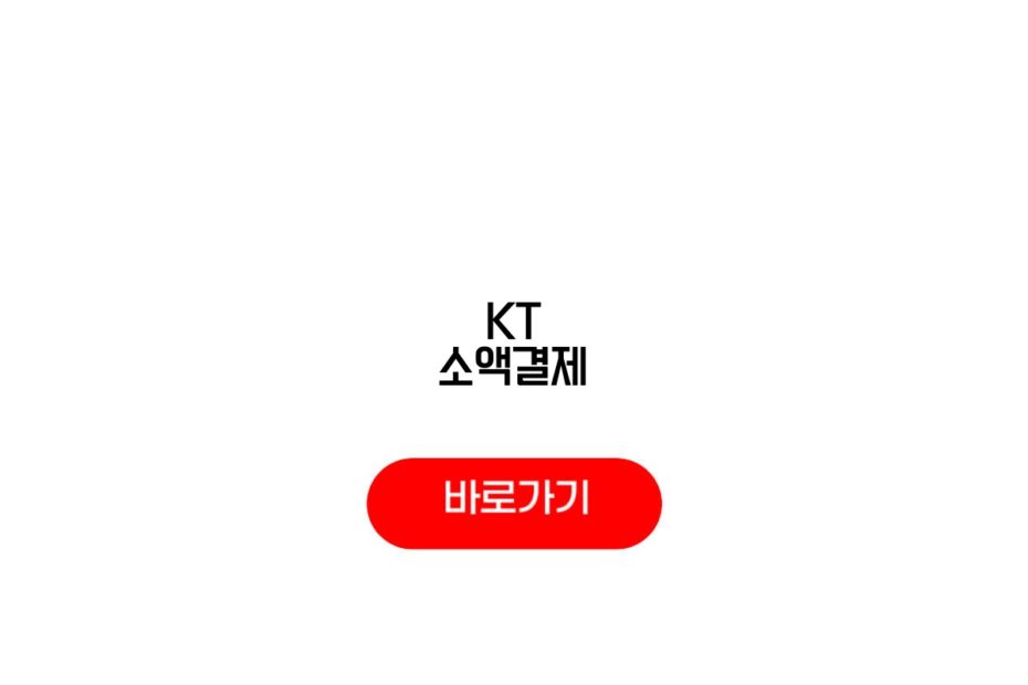 KT 소액결제