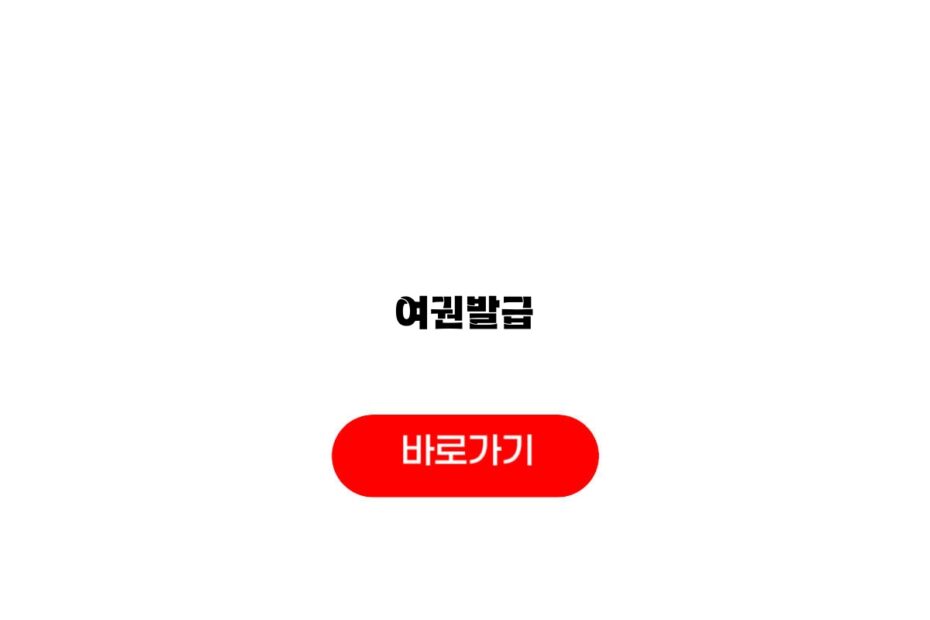 여권발급