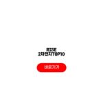 RISE 2차전지TOP10 인버스 비교 수익률 총정리 RISE 2차전지TOP10