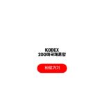 KODEX 200미국채혼합 주식채권 비중 수익률 체크리스트 KODEX 200미국채혼합